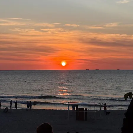 Zdrojowa 5 - Visitopl